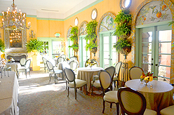 A CELERATION OF LIFE